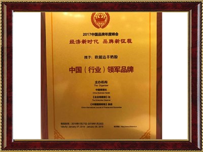 中國行業領軍品牌